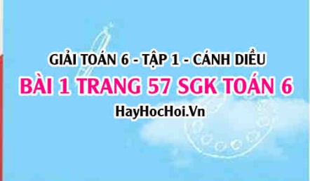 Giải bài 1 trang 57 Toán 6 Tập 1 SGK Cánh Diều